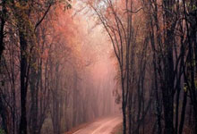 决胜在“千分之一秒” 这项超级激烈的竞赛即将在亚冬会上演央视新闻客户端.