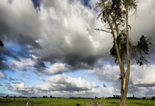 M88官网：新加坡全国保龄球公开赛 谢宇昇林诗恩夺冠.