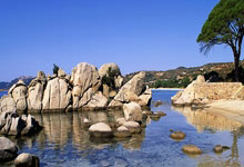 M88官网：英超：四连胜 阿森纳队5-1曼城队.